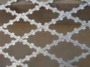 Beautiful and Practical-Straight Razor Wire